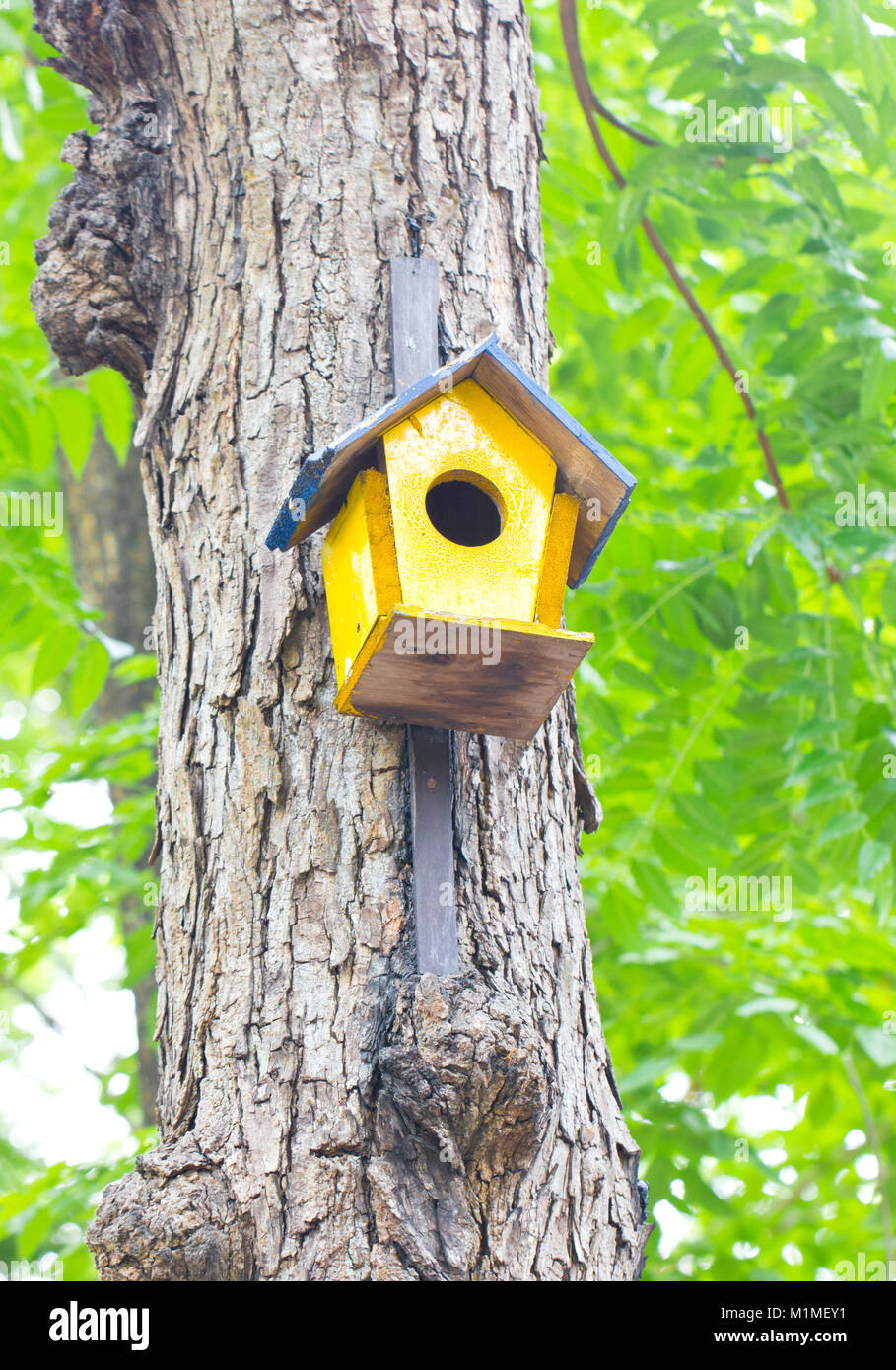 Cabane en bois coloré dans un arbre. Banque D'Images
