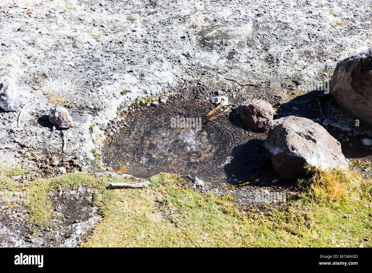 Communauté andine des geysers. Junthuma geysers, formé par l'activité géothermique. La Bolivie. Les piscines thermales permettent à un environnement sain et le bain médicinal pour les touristes Banque D'Images