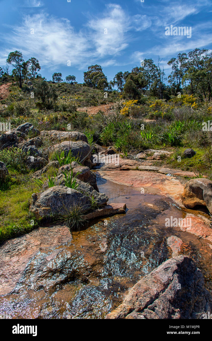 Paysage rural, Perth Hills, Kalamunda, Australie occidentale, Australie Banque D'Images