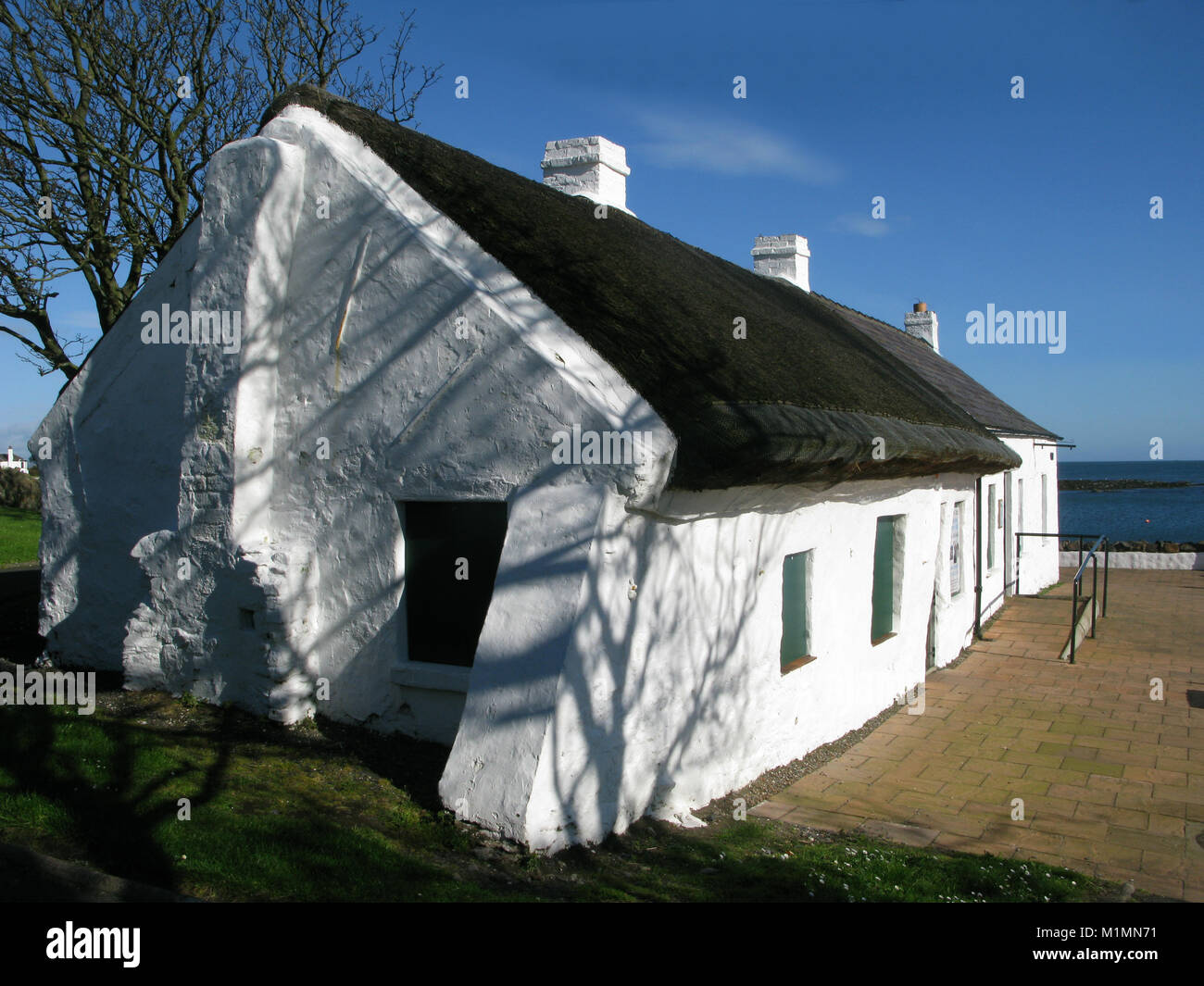 Cockle rangée Cottages, Groomsport, Bangor, Irlande du Nord, Royaume-Uni Banque D'Images