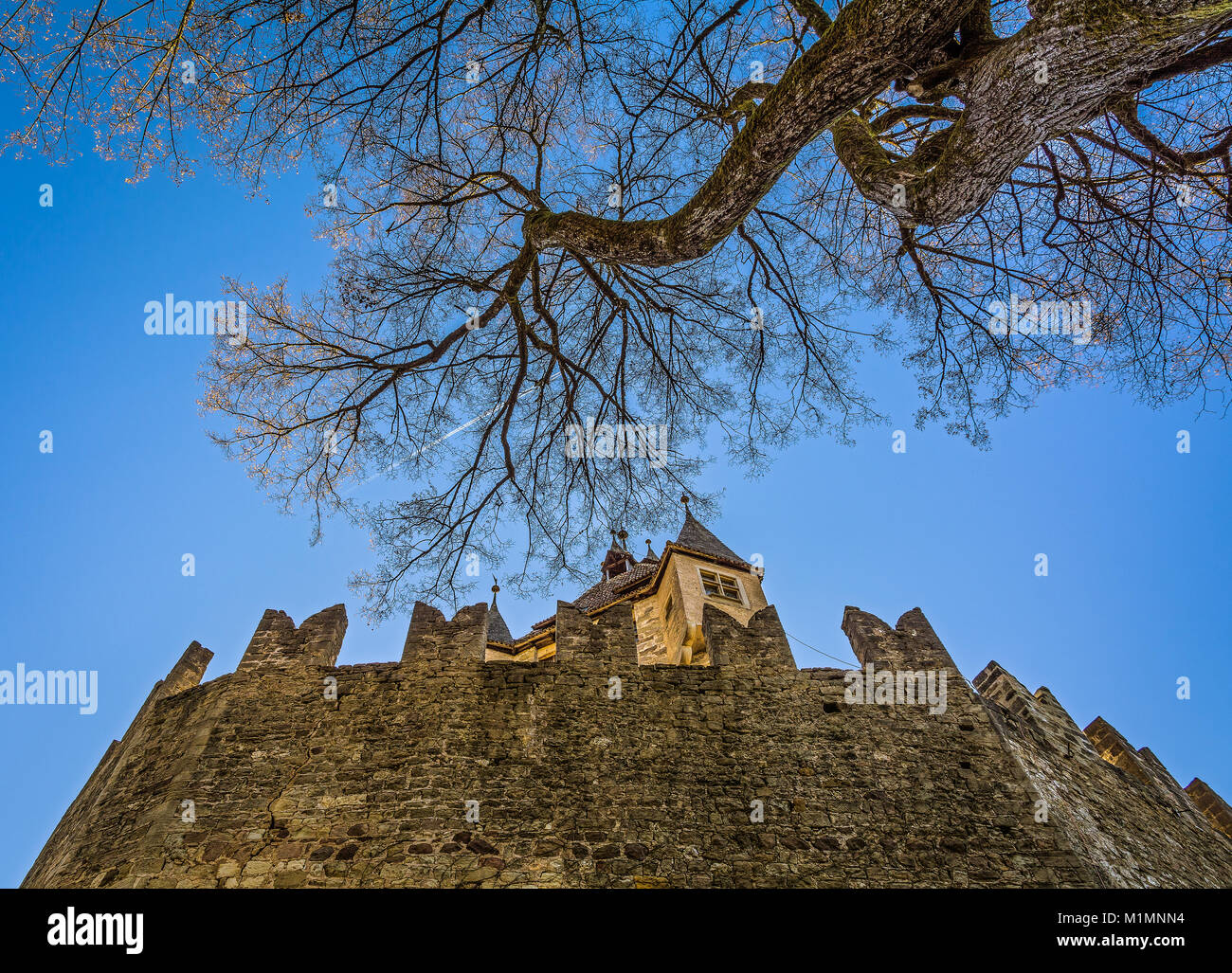 Château d'Enna (Schloss Enn en langue allemande) : vue panoramique sur l'impressionnant château situé sur une colline au-dessus de Montagna dans le Tyrol du Sud, Bolzano, Italie Banque D'Images