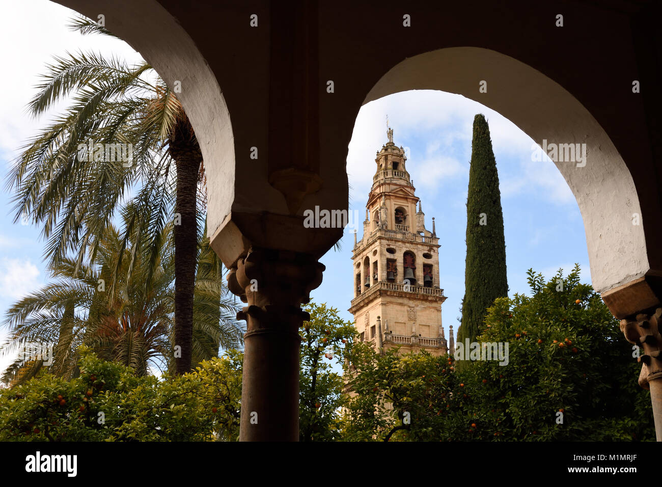 Cordoba- Mesquita, cathédrale, une mosquée islamique médiéval transformé en un chrétien catholique romain, l'Andalousie ( Orange- et de palmiers dans la cour de l'orange) l'Espagne, l'espagnol Banque D'Images