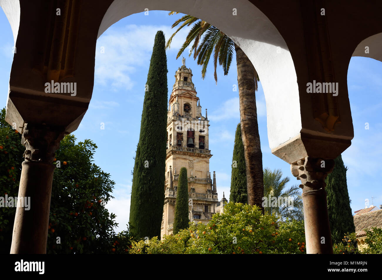 Cordoba- Mesquita, cathédrale, une mosquée islamique médiéval transformé en un chrétien catholique romain, l'Andalousie ( Orange- et de palmiers dans la cour de l'orange) l'Espagne, l'espagnol Banque D'Images
