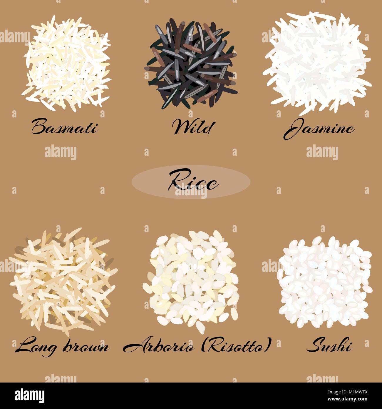 Différents types de riz. Illustration de Vecteur