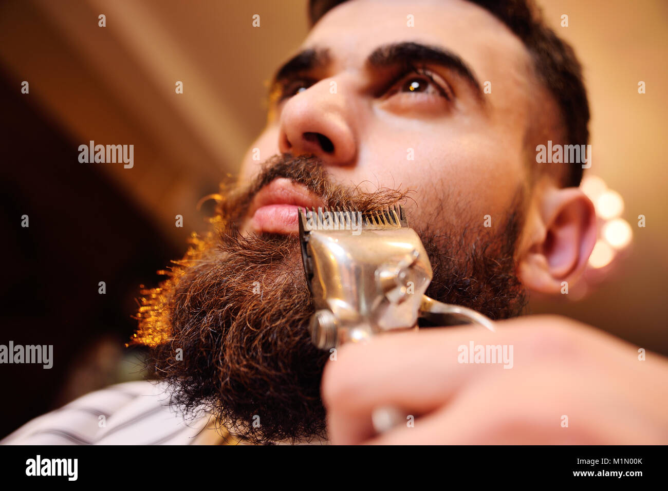 Coupe De La Tete Et De La Barbe Dans Un Salon De Coiffure Barber Met Et Peigne La Barbe Du Client Le Processus De Creation D Une Coiffure Et De La Mise En