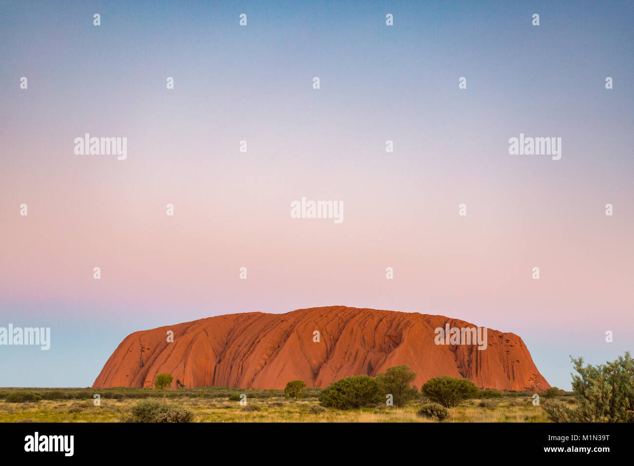 Uluru, Centre Rouge, la grande Outback. Territoire du Nord, Australie Banque D'Images
