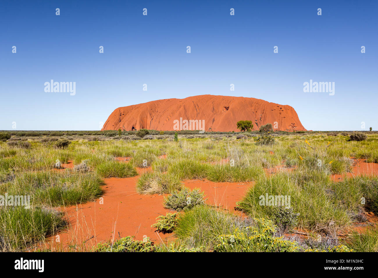 Uluru, Centre Rouge, la grande Outback. Territoire du Nord, Australie Banque D'Images