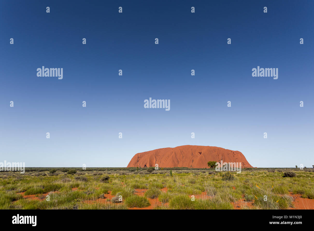 Uluru, Centre Rouge, la grande Outback. Territoire du Nord, Australie Banque D'Images