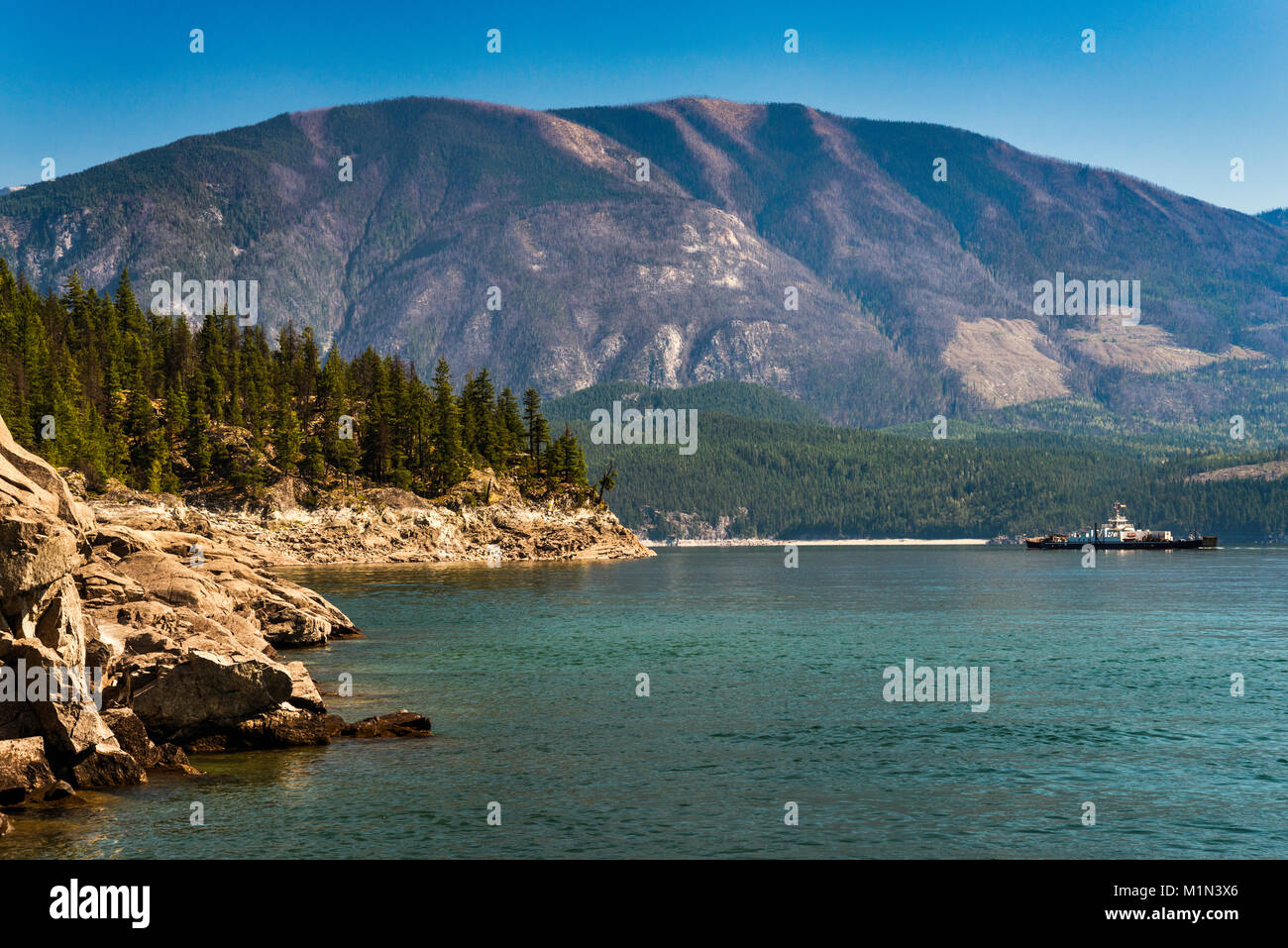 Selkirk montagne couverte de forêt de pins morts, attaqués par le dendroctone du pin, Upper Arrow Lake, West Kootenay, Colombie-Britannique, Canada Banque D'Images