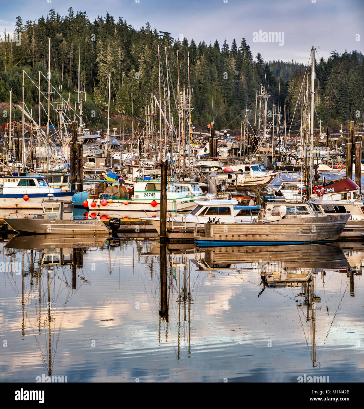 Bateaux de pêche, de Fisherman's Wharf à Port Hardy, au nord de l'île de Vancouver, Colombie-Britannique, Canada Banque D'Images