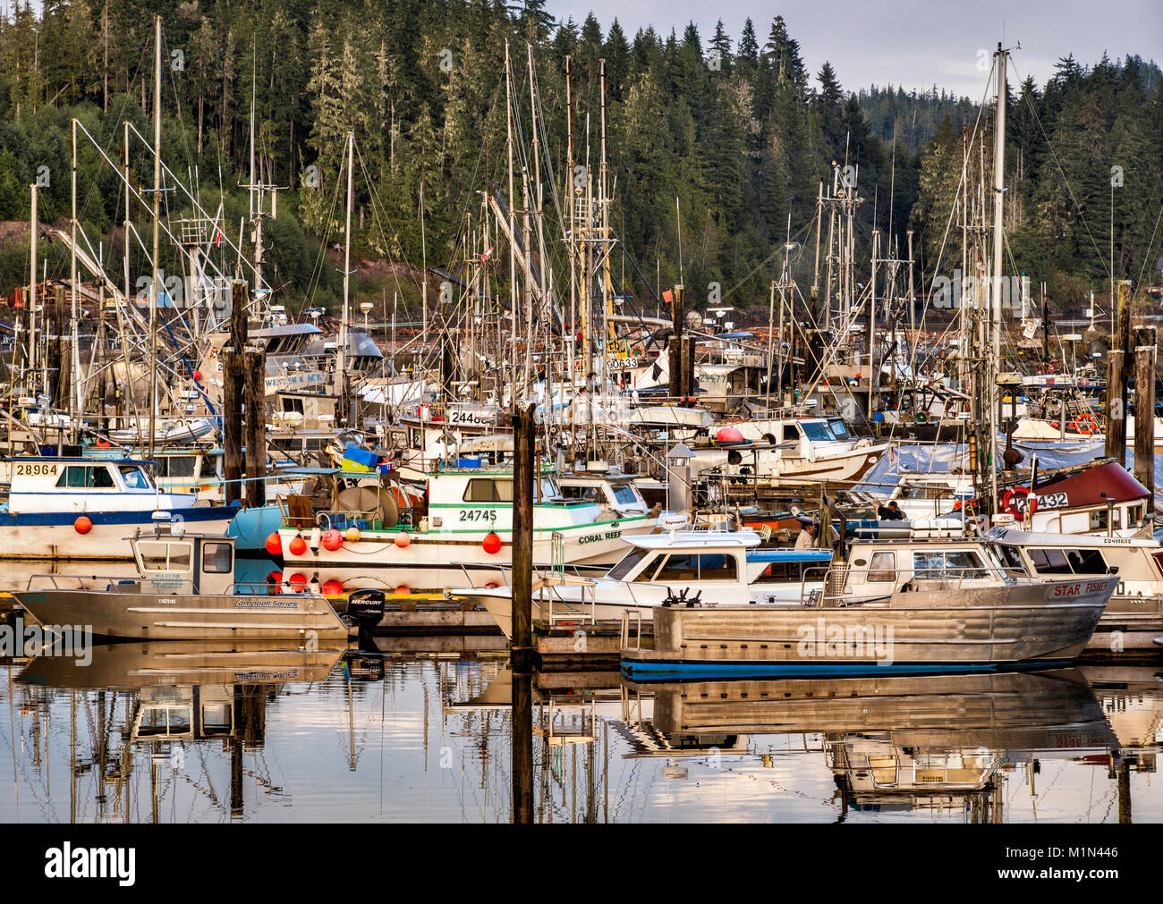 Bateaux de pêche, de Fisherman's Wharf à Port Hardy, au nord de l'île de Vancouver, Colombie-Britannique, Canada Banque D'Images