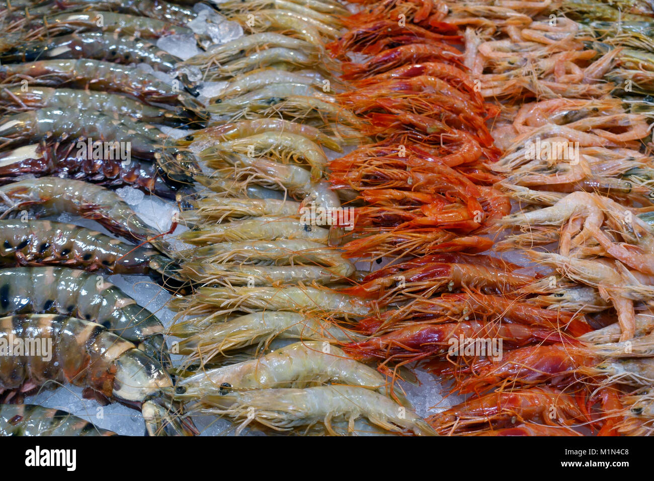 Variétés de crustacés sur la vente au marché de poisson de Santa Cruz de Tenerife, Canaries, Espagne Banque D'Images