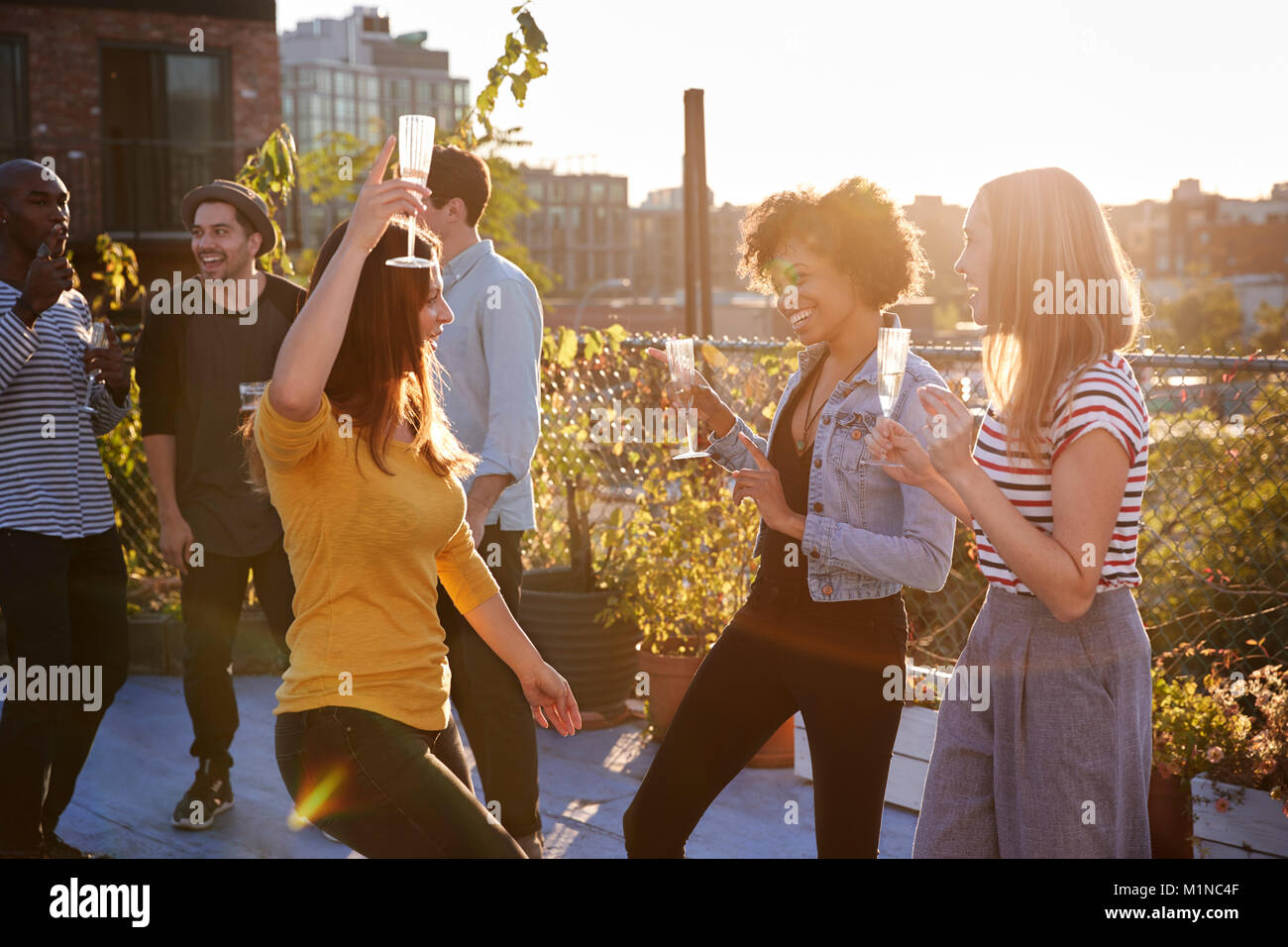 Les amis de la danse et de l'alcool à une soirée sur le toit Banque D'Images