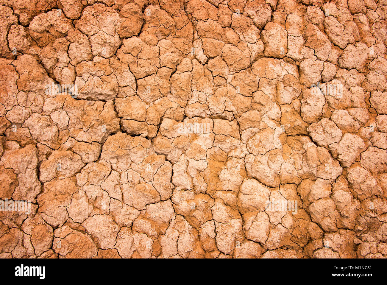 Arrière-plan de la terre craquelée à sec, la texture du désert d'argile Banque D'Images