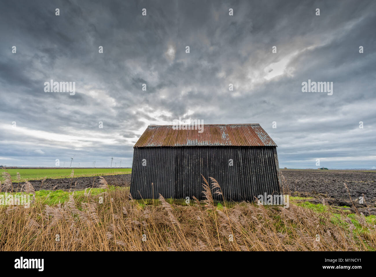 Une ancienne grange de l'étain ou en tôle ondulée sur une ferme au milieu de la Cambridgeshire Fens avec de grandes fen ciel dans un paysage fenland télévision Banque D'Images