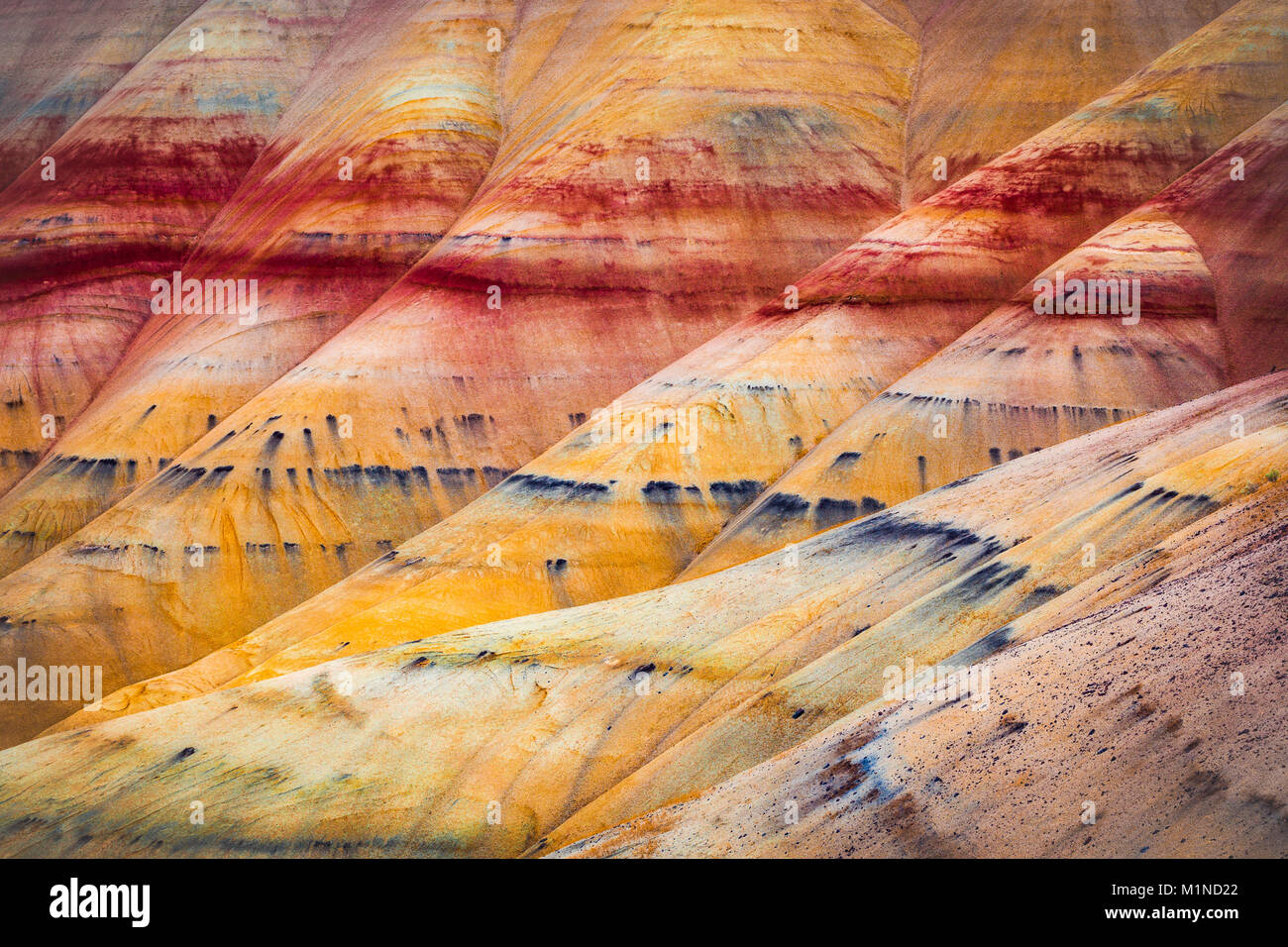 Collines peintes détail, partie de la John Day Fossil jumeaux National Monument, Oregon, USA Banque D'Images