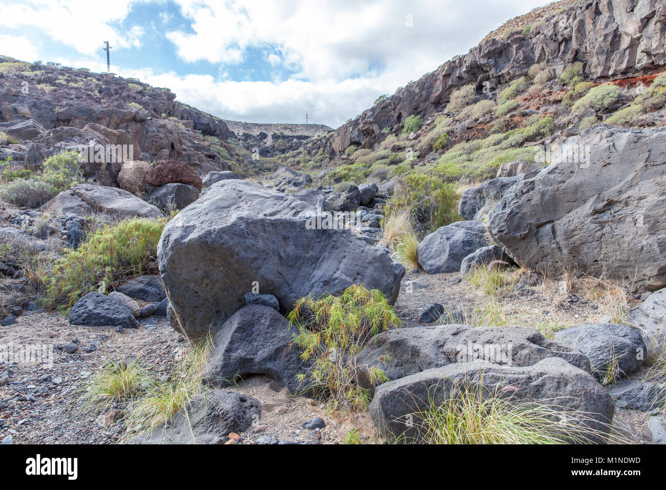 La ravine Linde à Tenerife, Îles Canaries, Espagne Banque D'Images