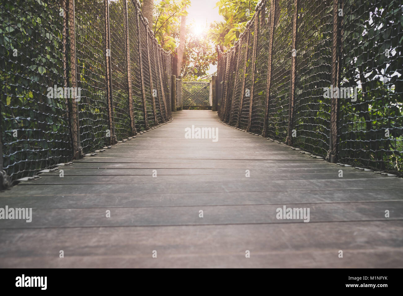 Passerelle en bois, pont de bois à travers la forêt Banque D'Images