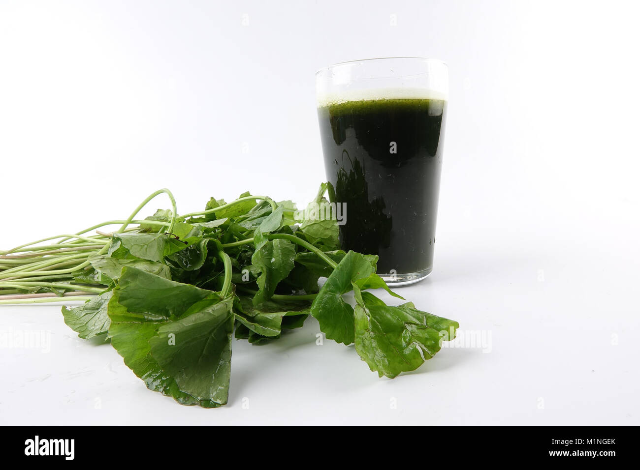 Ombelle isolé sur fond blanc Banque D'Images