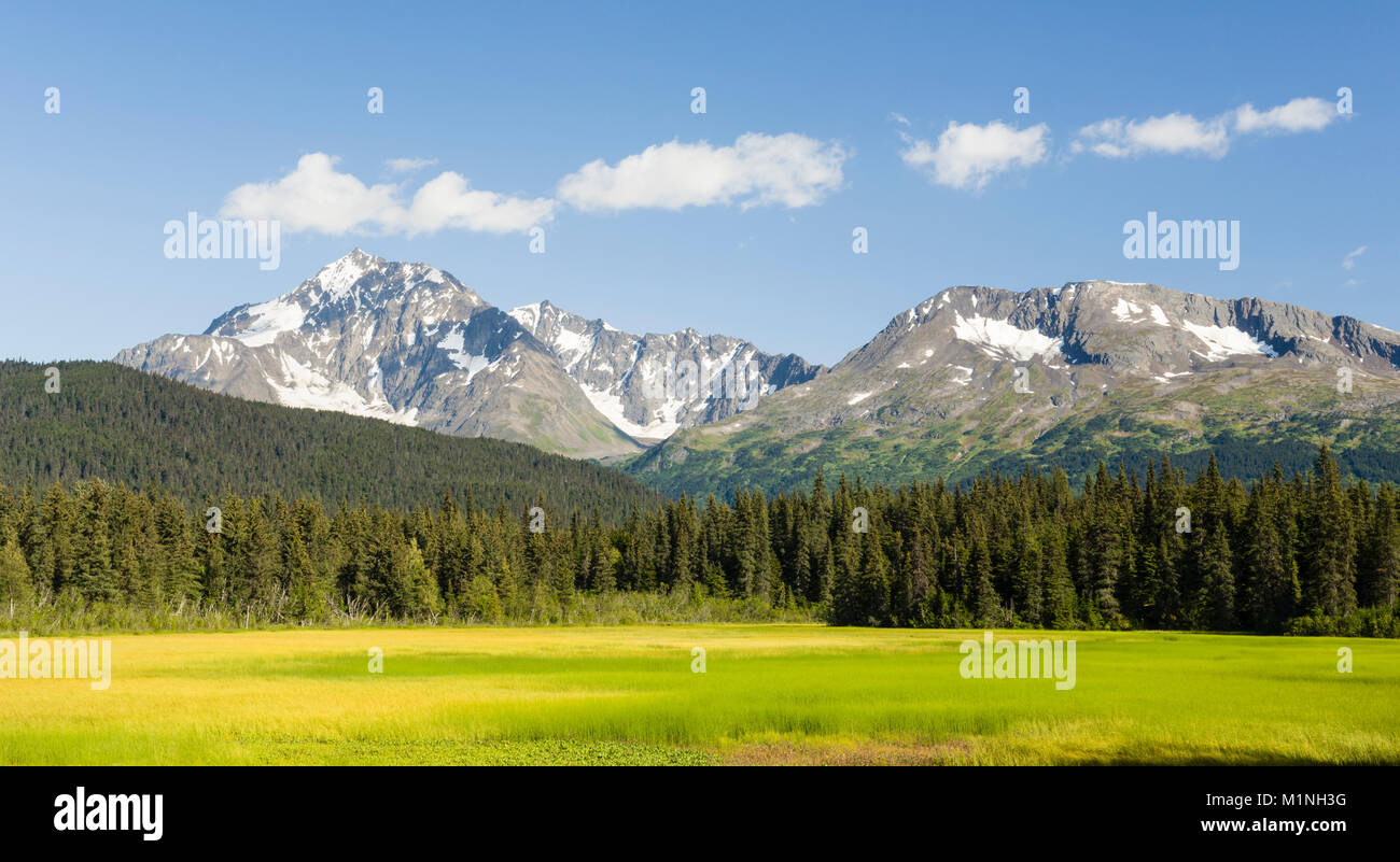 Vue panoramique des montagnes Kenai et de marais de la rivière de la neige dans le nord de la péninsule de Kenai, Alaska Seward dans le centre. Banque D'Images