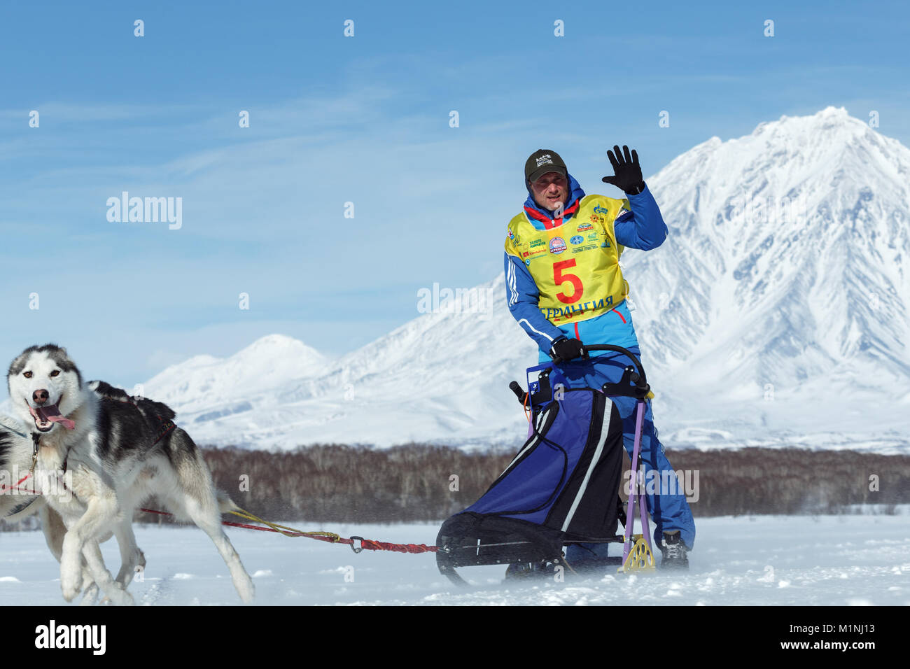 L'exécution de l'équipe de chiens de traîneau. Ryabuhin Denis musher du Kamtchatka Fédération de tasse de course de chiens de traîneau (neige disciplines), les courses de chiens de traîneau du Kamtchatka Beringia Banque D'Images