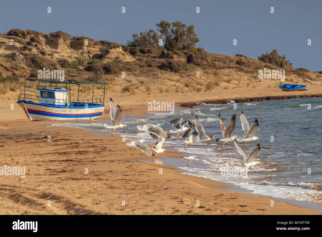 Bateaux sur la plage à gauche après les débarquements d'immigrés illégaux dans la région de Torre Salsa Banque D'Images