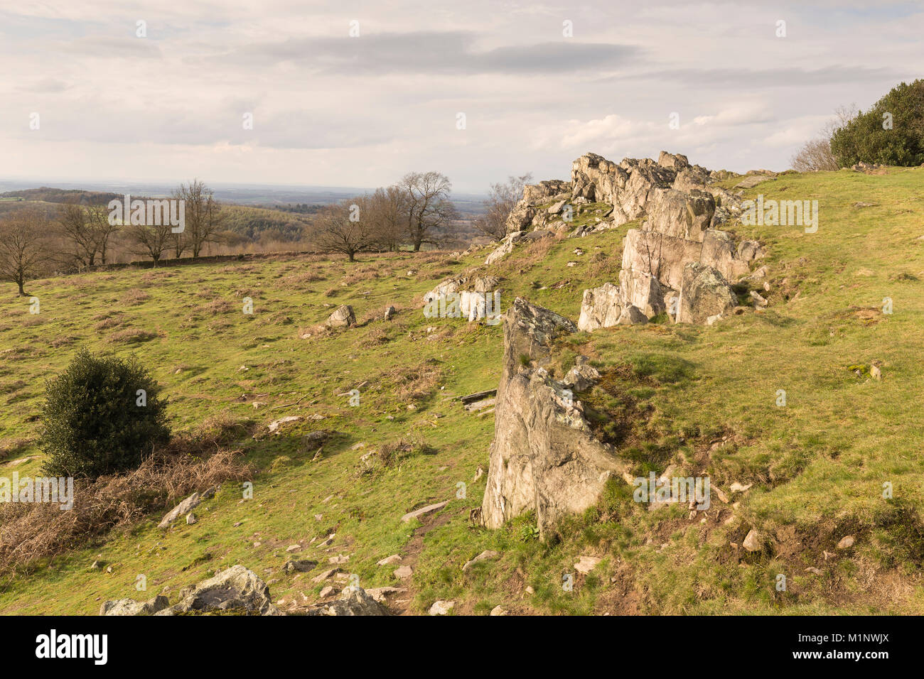 L'image d'un coteau rocheux situé à Beacon Hill Country Park, Leicestershire, Angleterre, Royaume-Uni. Banque D'Images