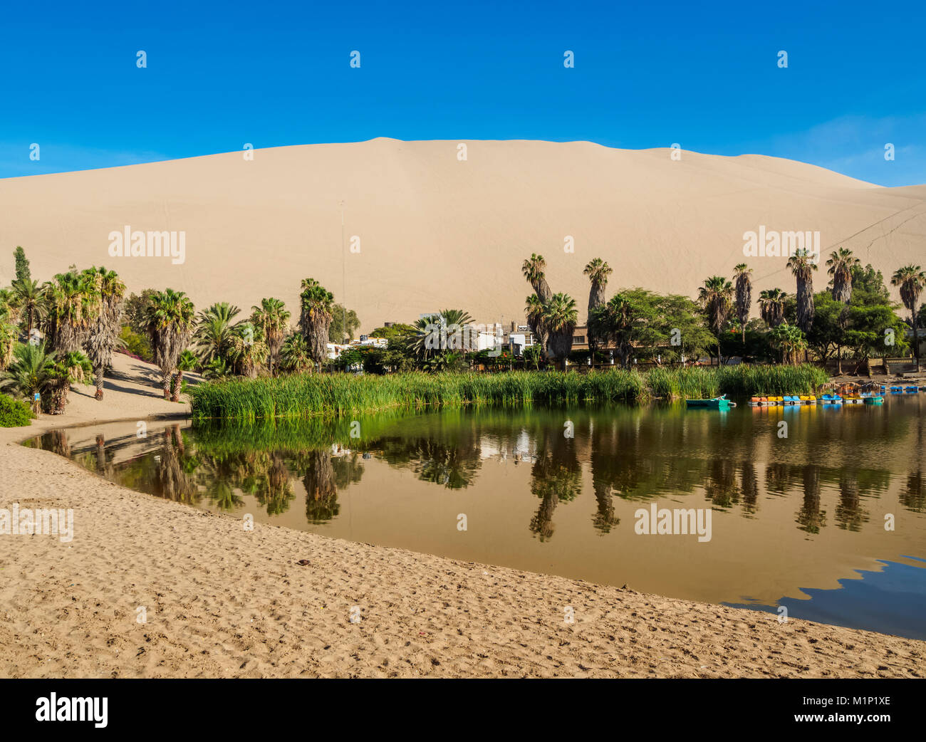Oasis Huacachina et Lake, région de l'Ica, Pérou, Amérique du Sud Banque D'Images