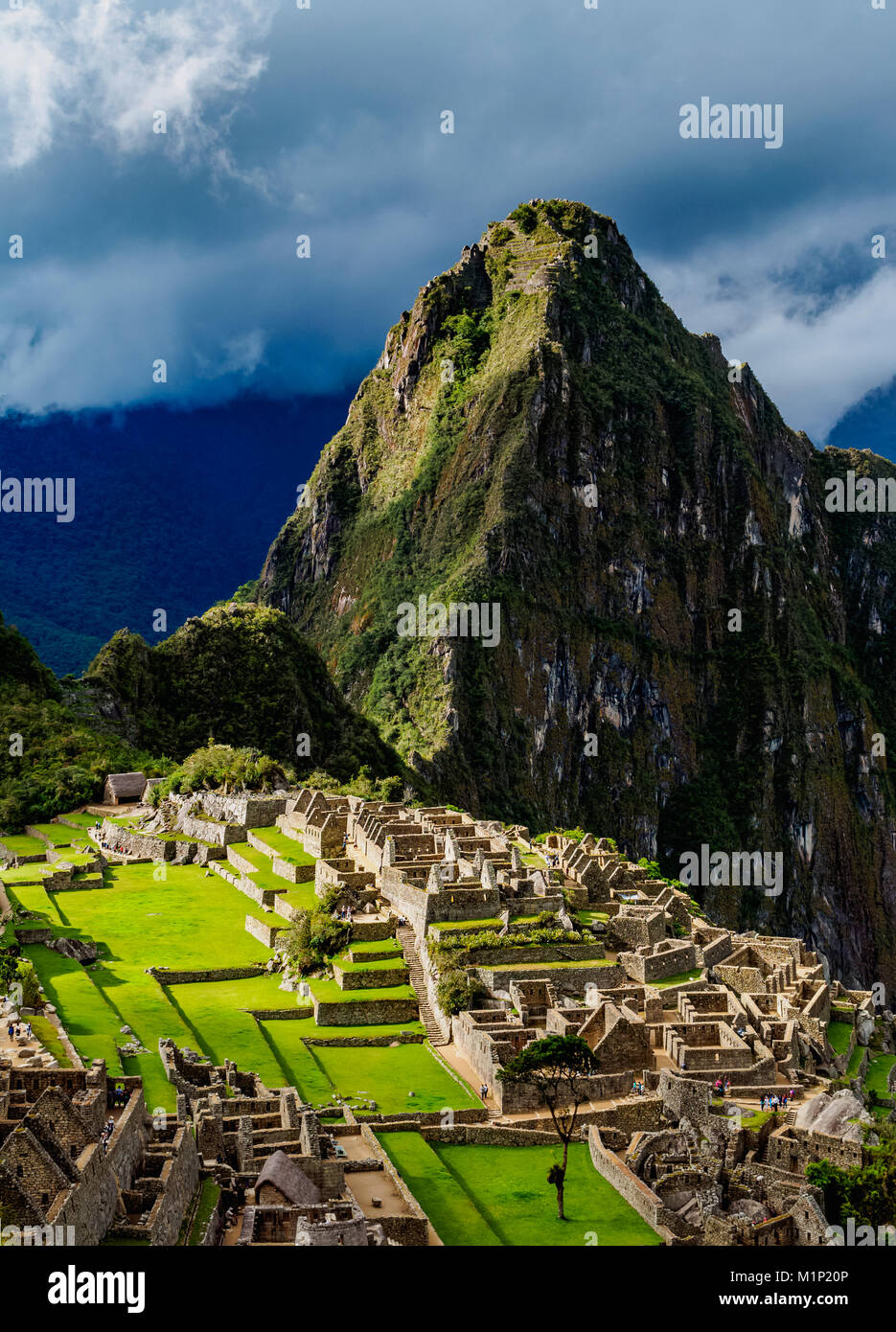 Ruines de Machu Picchu, Site du patrimoine mondial de l'Unesco, région de Cuzco, Pérou, Amérique du Sud Banque D'Images