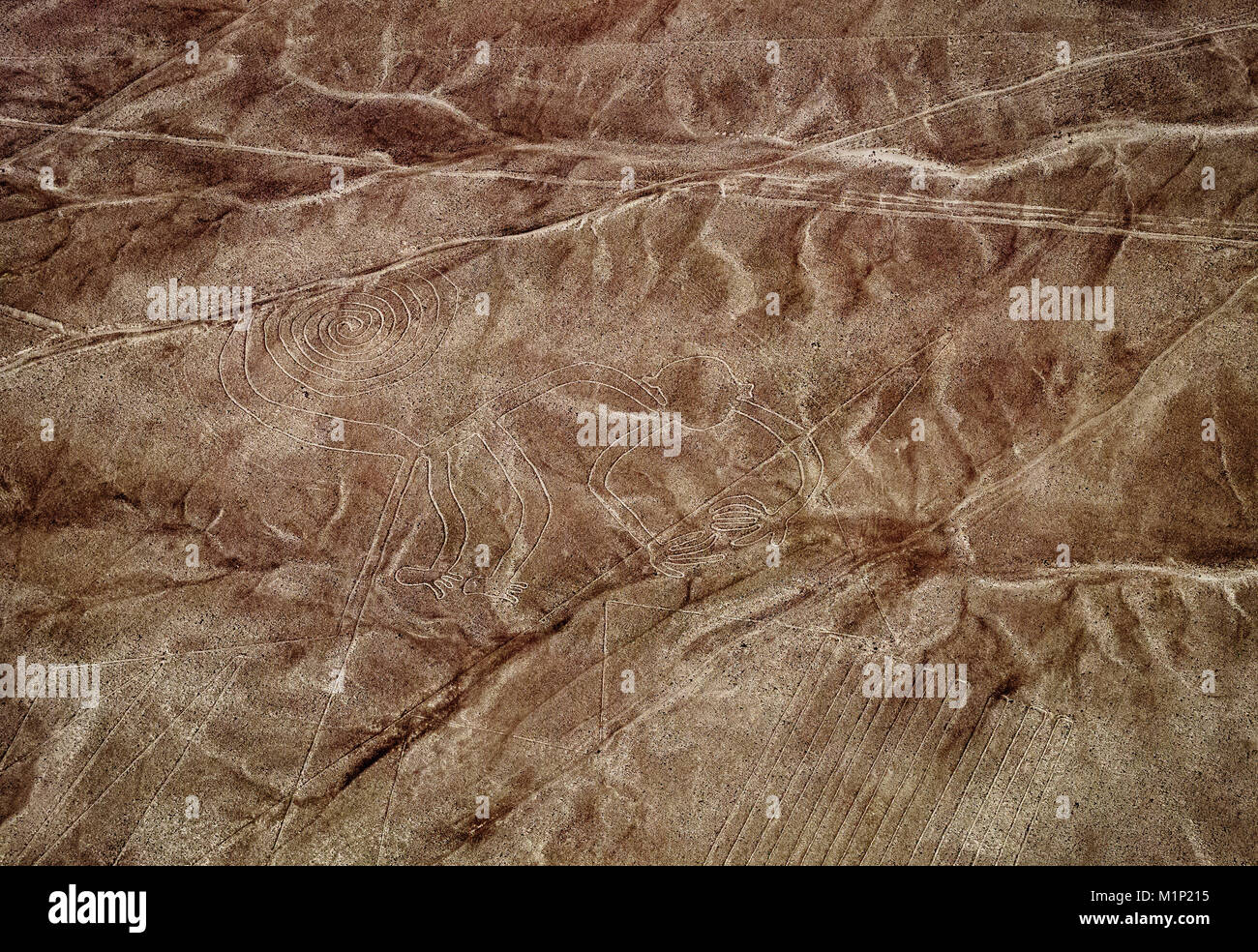 Le Singe Géoglyphe, vue aérienne, Nazca, UNESCO World Heritage Site, Région de l'Ica, Pérou, Amérique du Sud Banque D'Images