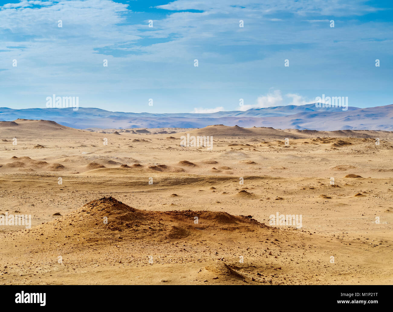 La Réserve nationale de Paracas, Ica, Pérou, Amérique du Sud Banque D'Images