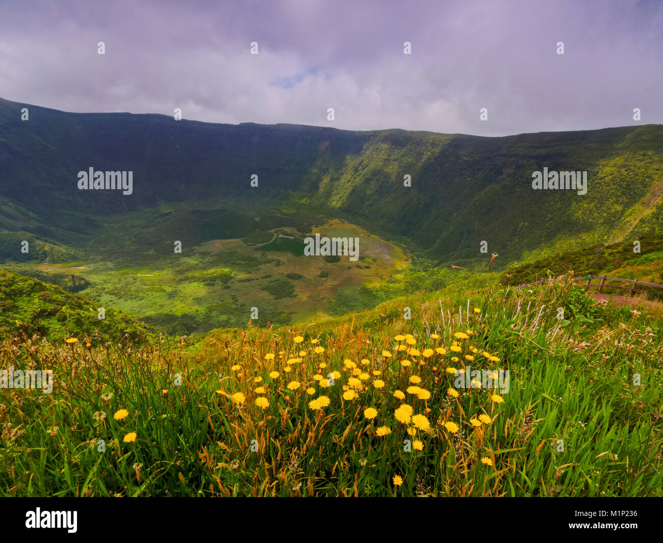 Caldeira, l'île de Faial, Açores, Portugal, Europe, Atlantique Banque D'Images