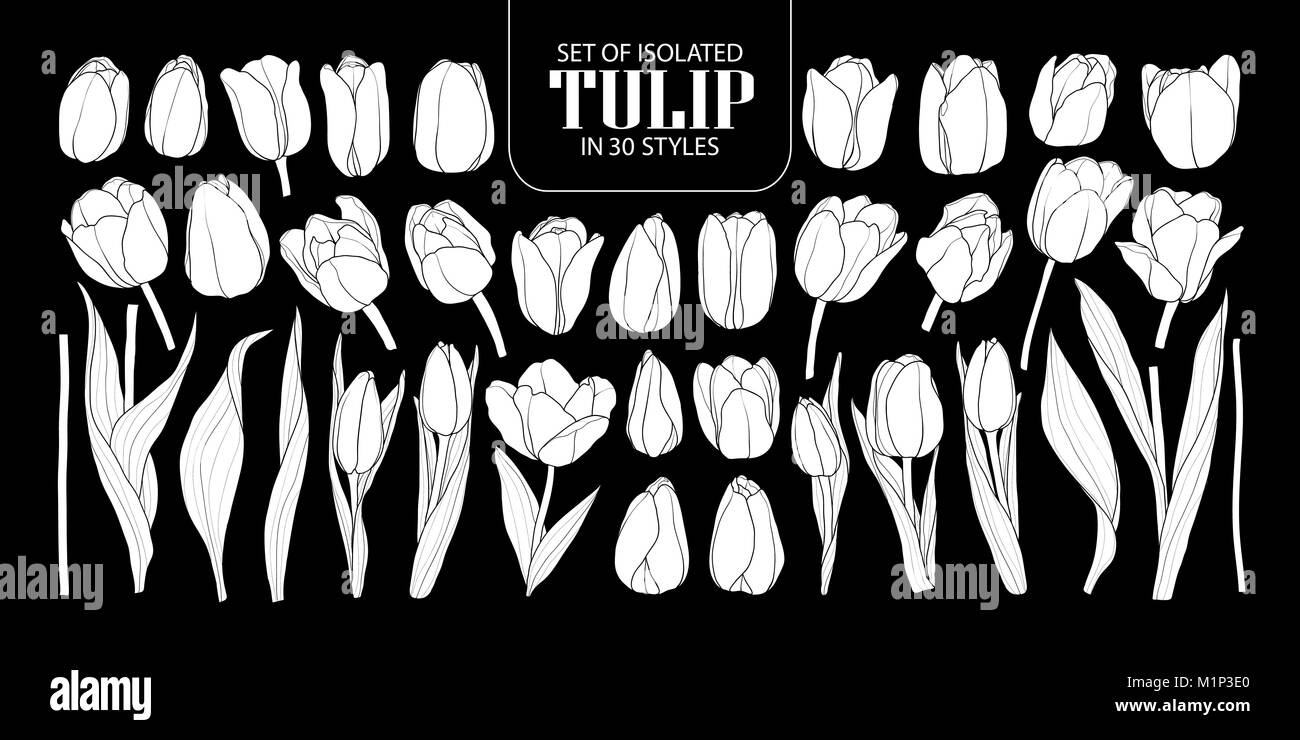 Ensemble de silhouette blanche isolée Tulip dans 30 styles. Cute vector illustration fleur dessiné à la main en avion blanc et sans contour sur fond noir. Illustration de Vecteur