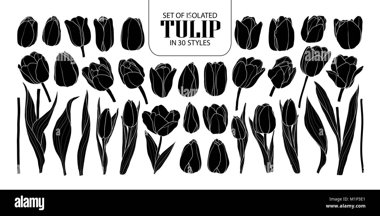 Ensemble de silhouette isolés dans 30 Tulipes de styles. Cute vector illustration fleurs dessinés à la main, en noir et blanc indiquant plan sur fond noir. Illustration de Vecteur