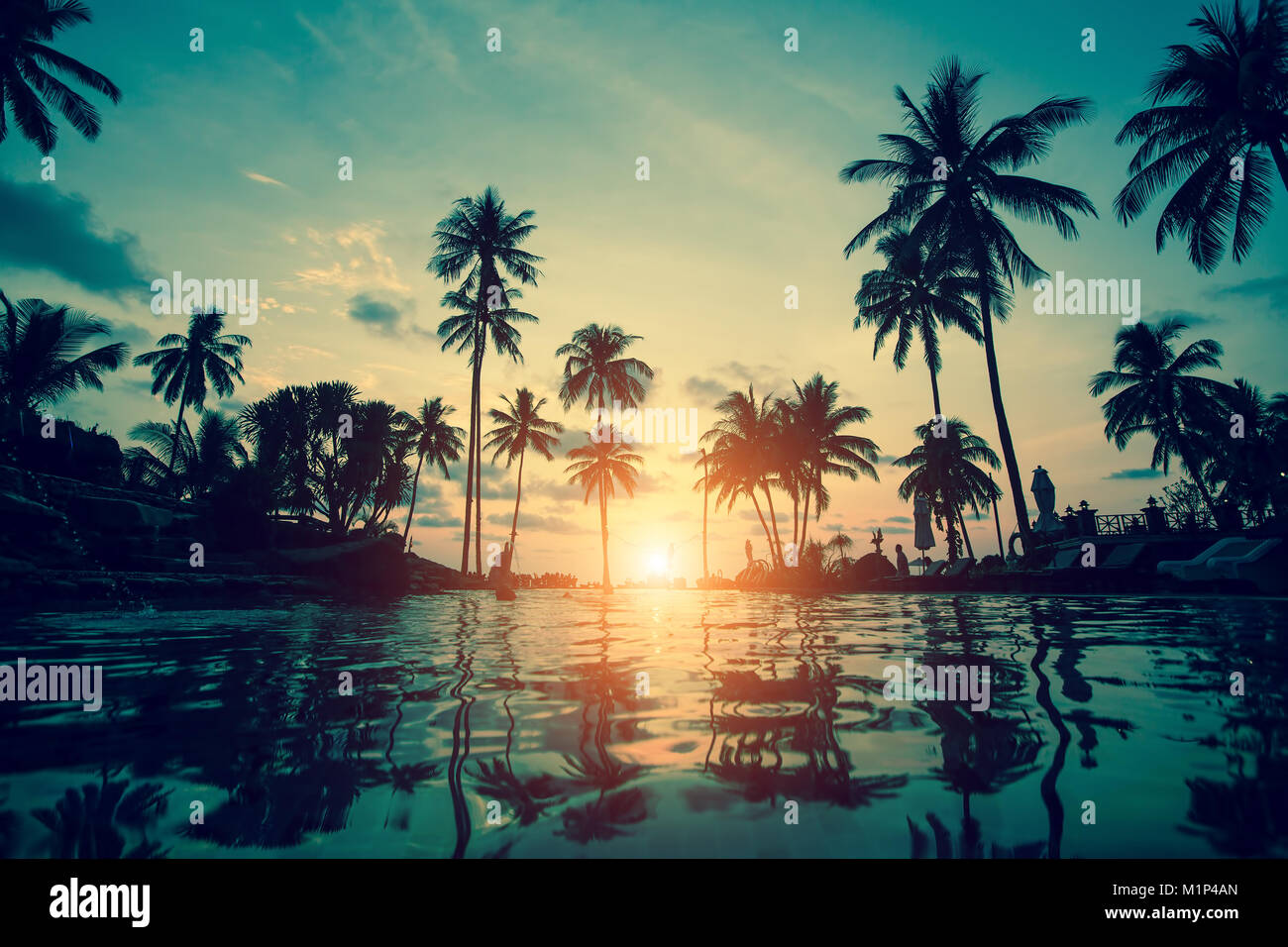 Silhouettes de palmiers au tropical coast lors d'un incroyable coucher du soleil. Banque D'Images