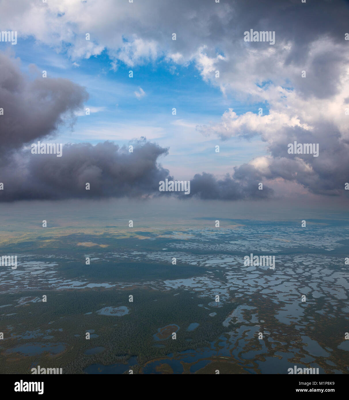 Les nuages au-dessus du marécage, vue d'en haut Banque D'Images