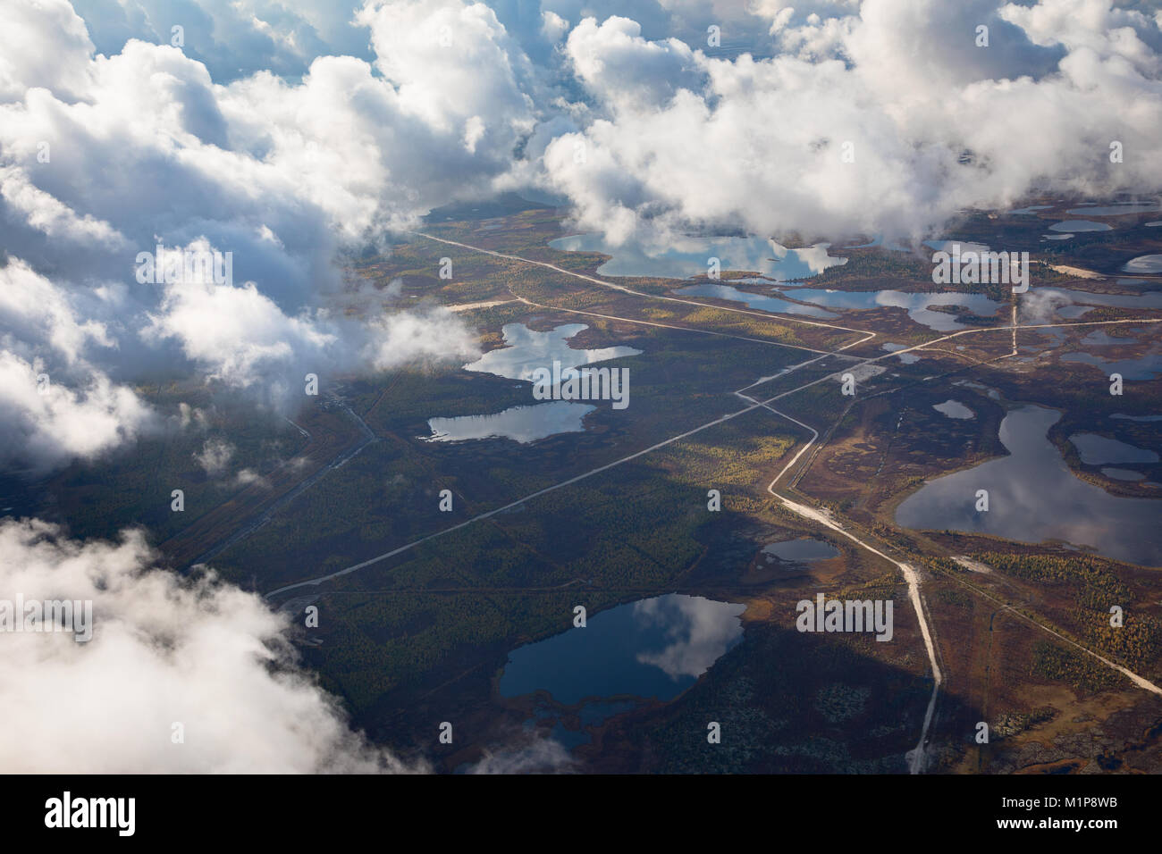 Champ de pétrole, vue d'en haut Banque D'Images