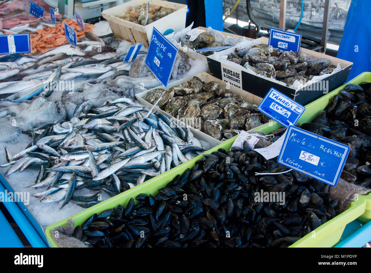 Close up de poisson frais tous les jours de marché de la France dans le sud de la France Banque D'Images