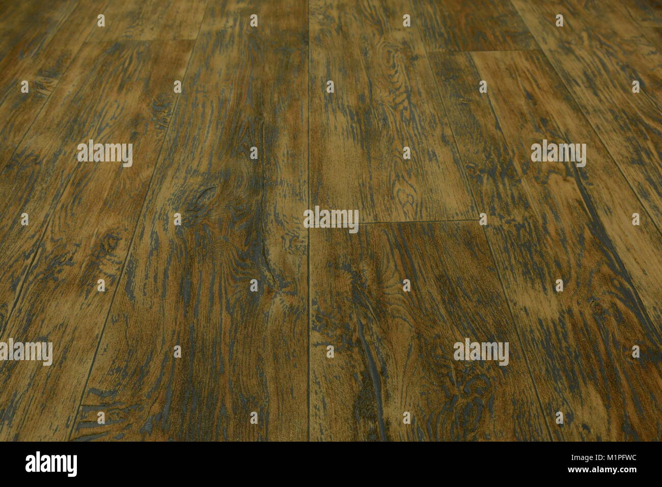 Ceinture homme en cuir style sport et cravate pour hommes par Gucci et plancher en bois Banque D'Images