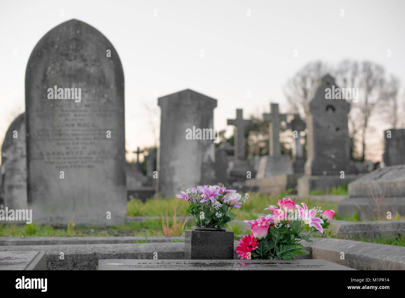 Des fleurs sur une tombe, le reste du cimetière à l'arrière-plan et quelques arbres Banque D'Images
