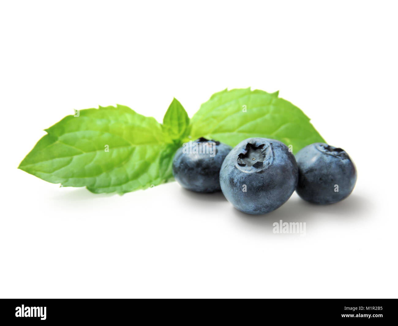 Fruits frais et mûrs, bleuets isolé sur fond blanc. Les bleuets brillants avec feuille de menthe sur le blanc. Tas de fruits de la forêt, l'alimentation saine. Banque D'Images