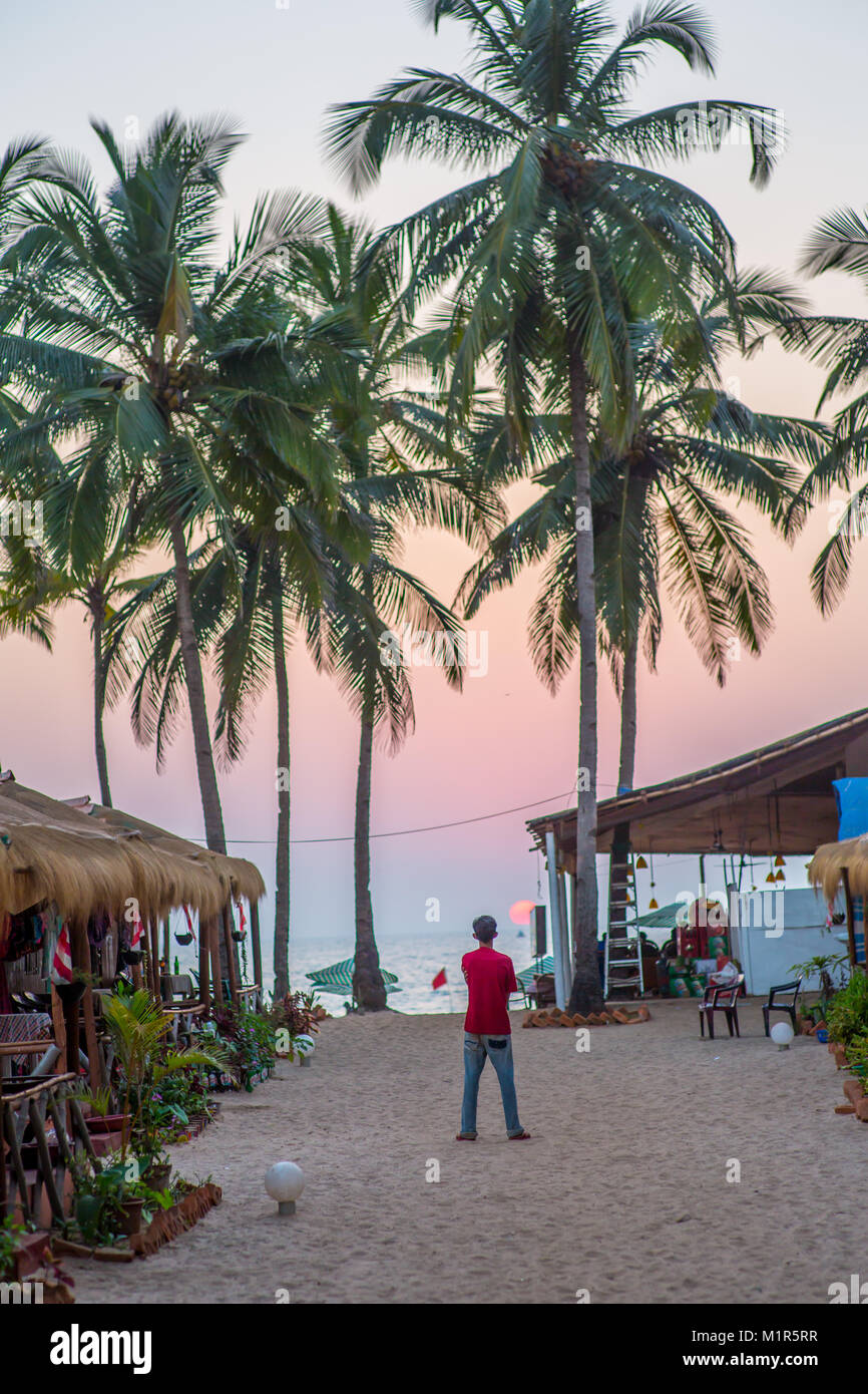 Coucher du soleil sur la plage de Goa avec palmiers et un homme debout et regarder l'océan Banque D'Images
