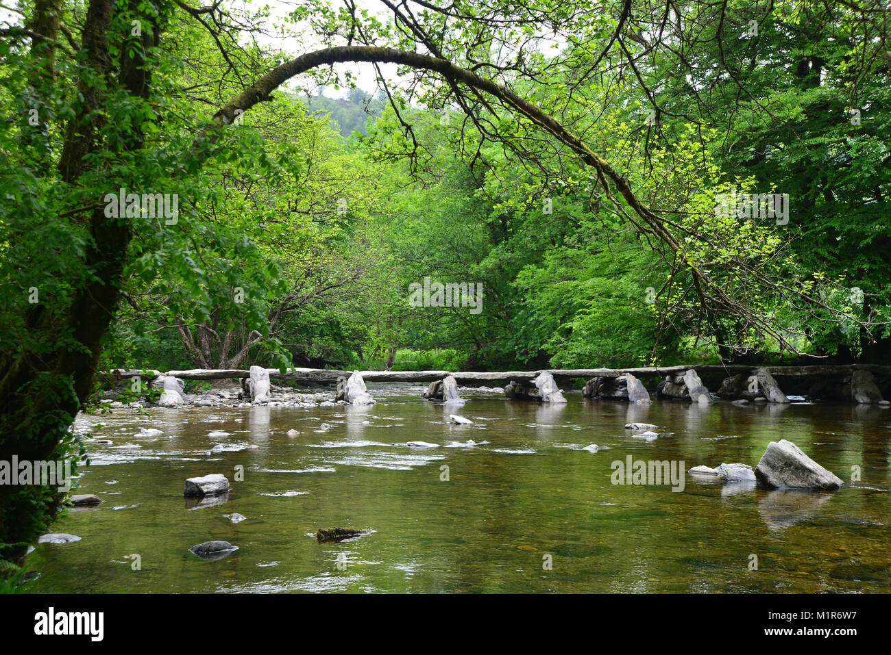 Étapes Tarr, traversant la rivière Barle, Exmoor, Parc National d'Exmoor, Somerset, Angleterre, la beauté naturelle, campagne, Banque D'Images