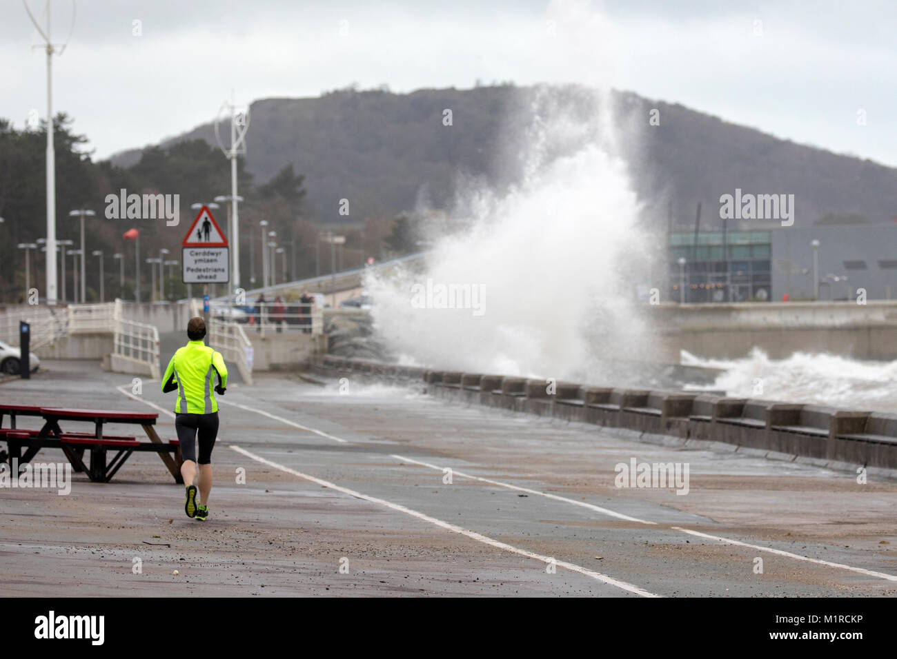 Colwyn Bay, comté de Conwy, Pays de Galles, Royaume-Uni Météo : temps froid avec la marée haute et venteux ont fourni des conditions idéales pour les ressources naturelles du pays de Galles à fournir des avertissements d'inondations pour la Côte Nord du Pays de Galles dont Colwyn Bay. Une personne courant le long de la promenade de Colwyn Bay comme d'énormes vagues batter la station balnéaire avec des avertissements d'inondation en place, comté de Conwy, au Pays de Galles Banque D'Images