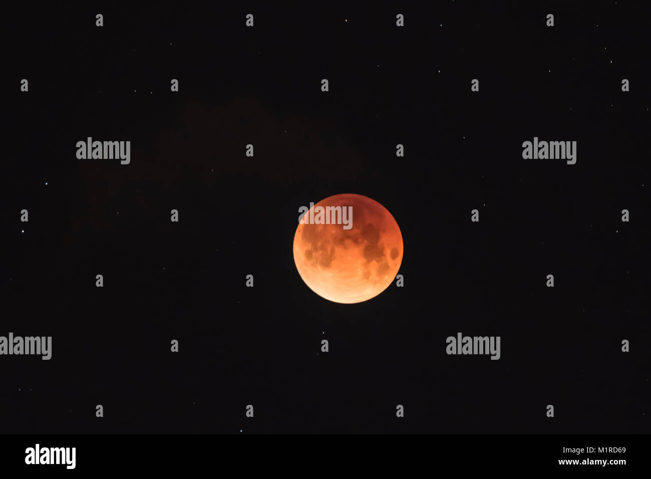 Vancouver, Canada. Jan 31, 2018. Le 'Super Blue Blood Moon' a été vu pour la dernière fois dans l'hémisphère occidental il y a 152 ans. Blue Moon se réfère à la lune lorsqu'il y a deux pleines lunes dans un mois donné. Supermoon, quand la lune est plus proche de la terre qu'il ne l'est normalement, la couleur rouge du sang créé à partir de l'éclipse totale. Vancouver, Canada. crédit : Gerry Rousseau/Alamy Live News Banque D'Images