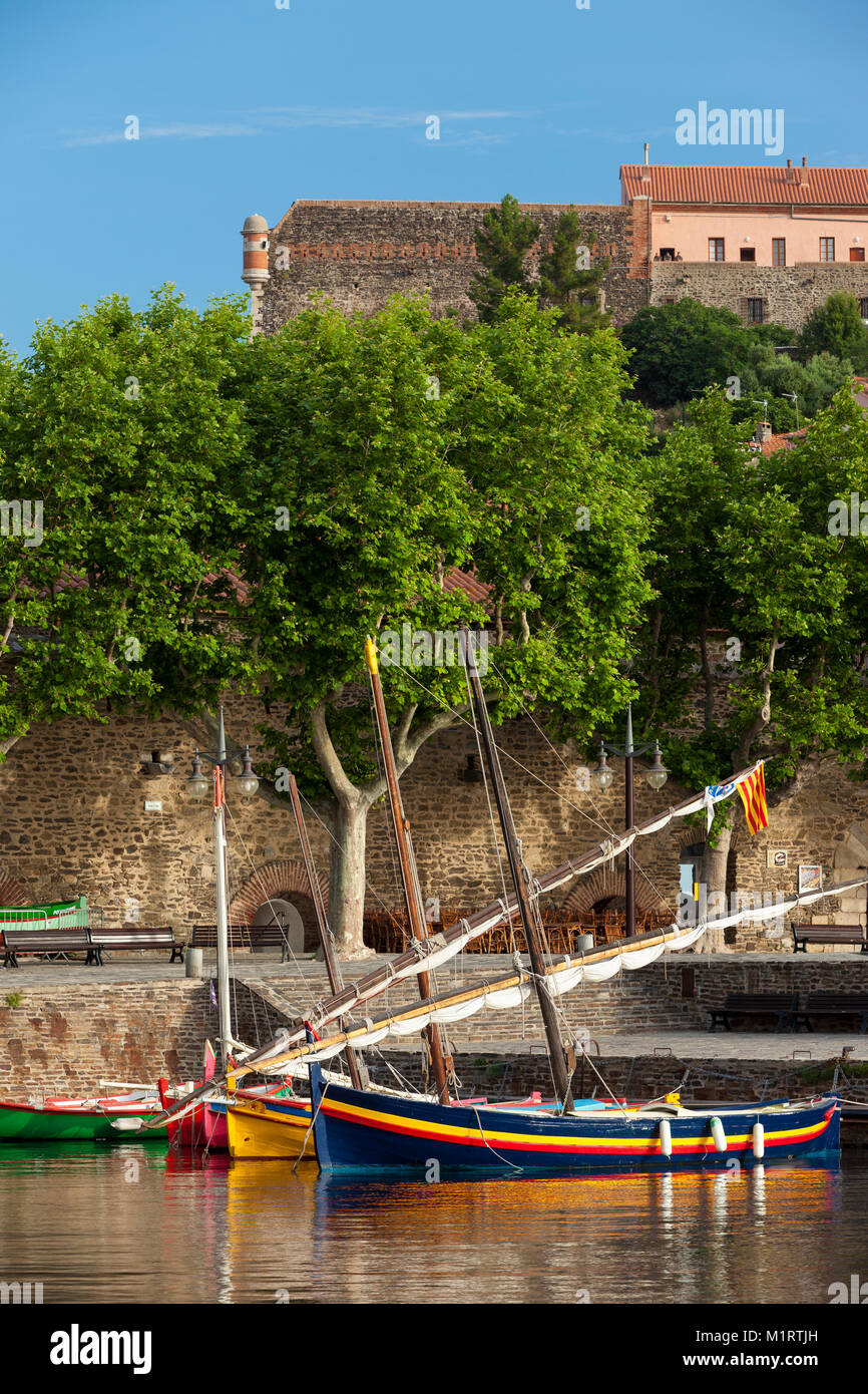 Voiliers colorés dans le petit port de Collioure, Occitanie, France Banque D'Images