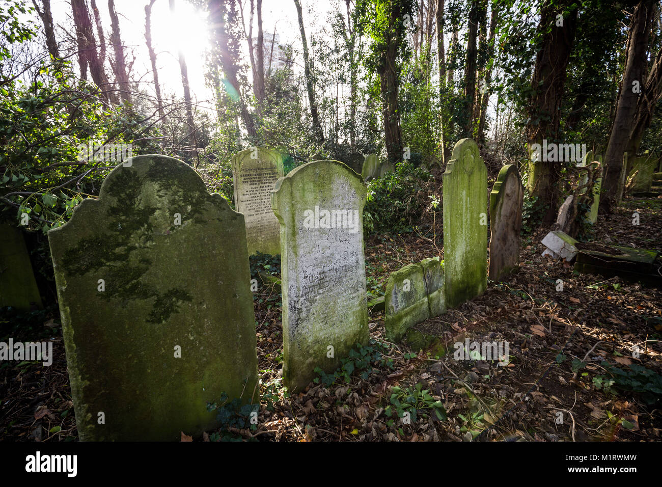 Tower Hamlets Cemetery Park dans l'Est de Londres, Royaume-Uni. Banque D'Images