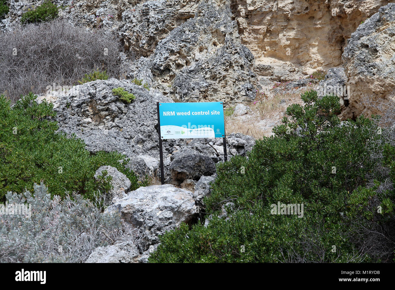 Le contrôle des mauvaises herbes signe sur l'île Kangourou Banque D'Images