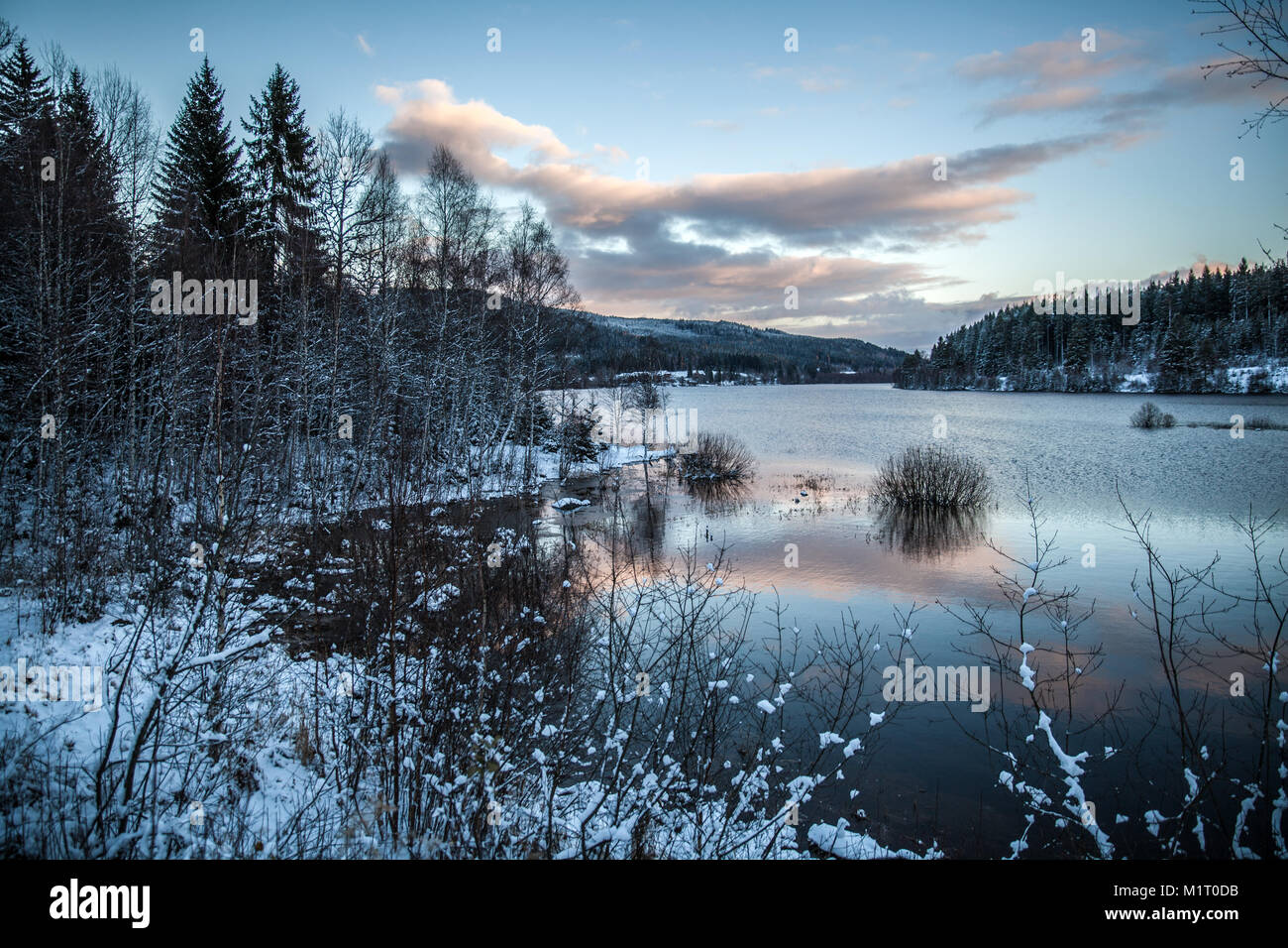 Le lac de Schluch en forêt noire Allemagne Banque D'Images