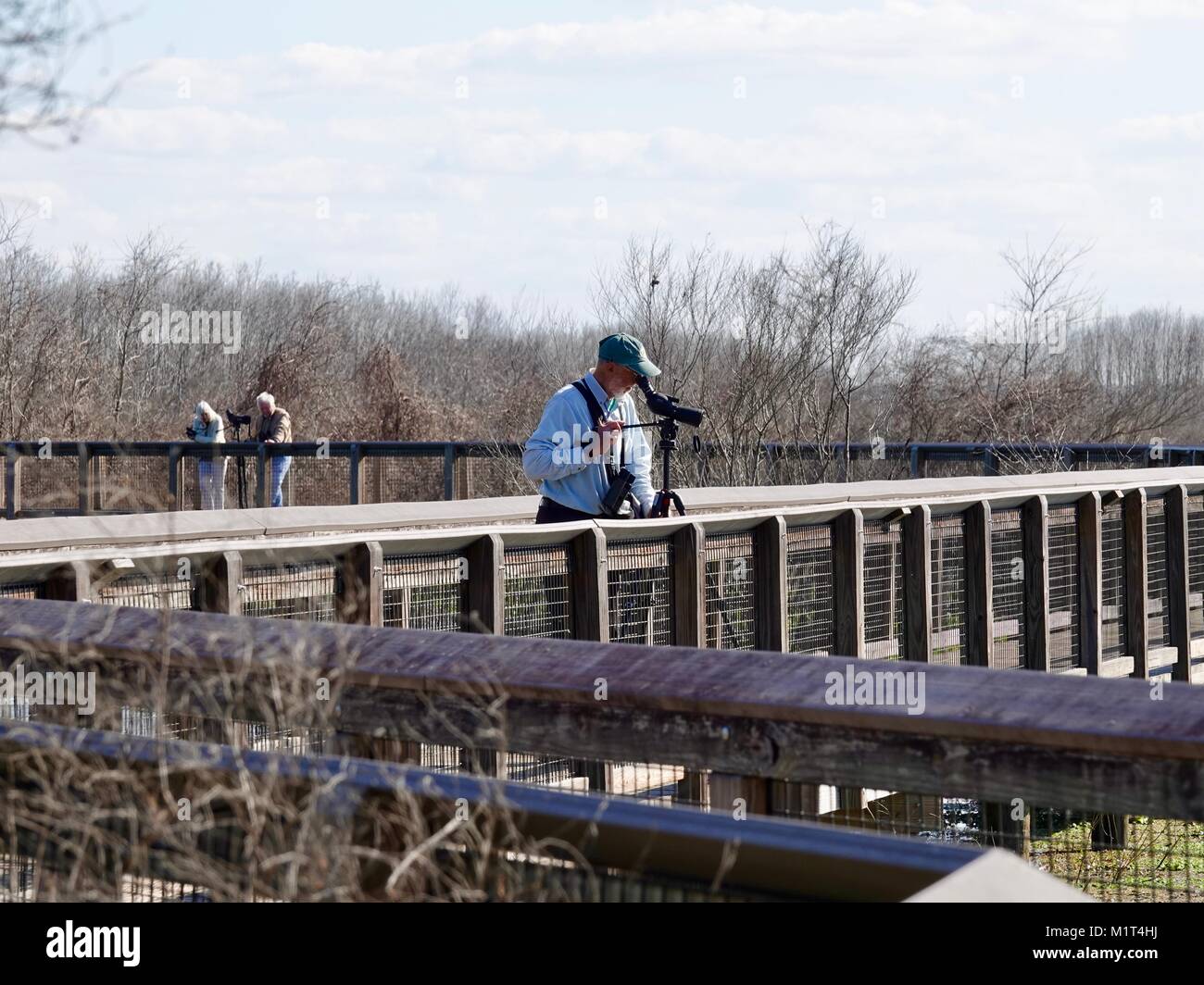 Trois retraités sur la promenade d'observation des oiseaux ; l'hiver à Paynes Prairie Preserve State Park, Gainesville, Floride, USA. Banque D'Images